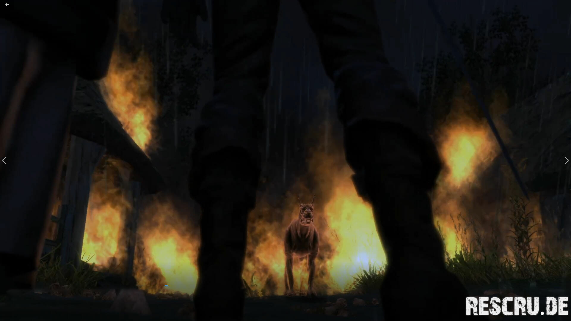 The Witcher 01 The Witcher 01