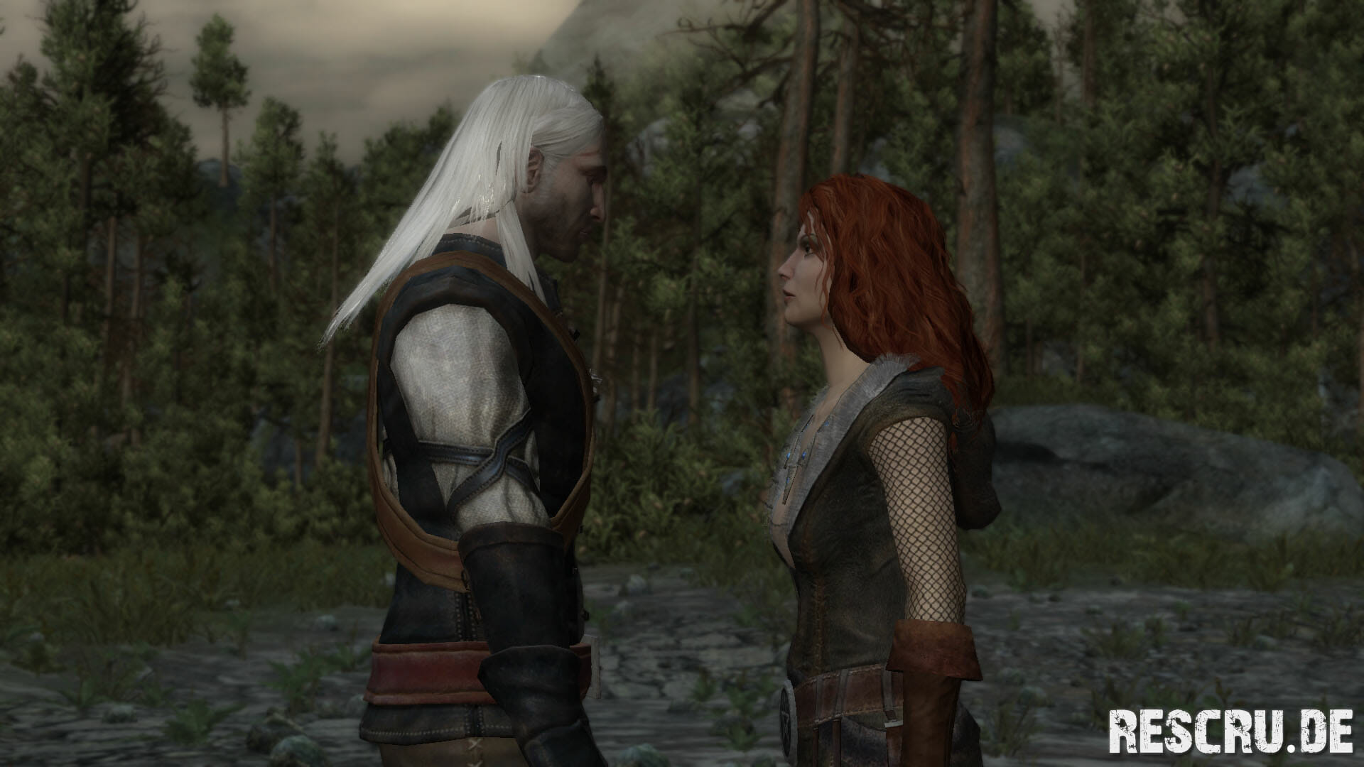 The Witcher 09 The Witcher 09